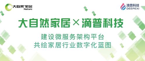 滴普科技x大自然家居,共绘家居行业数字化蓝图